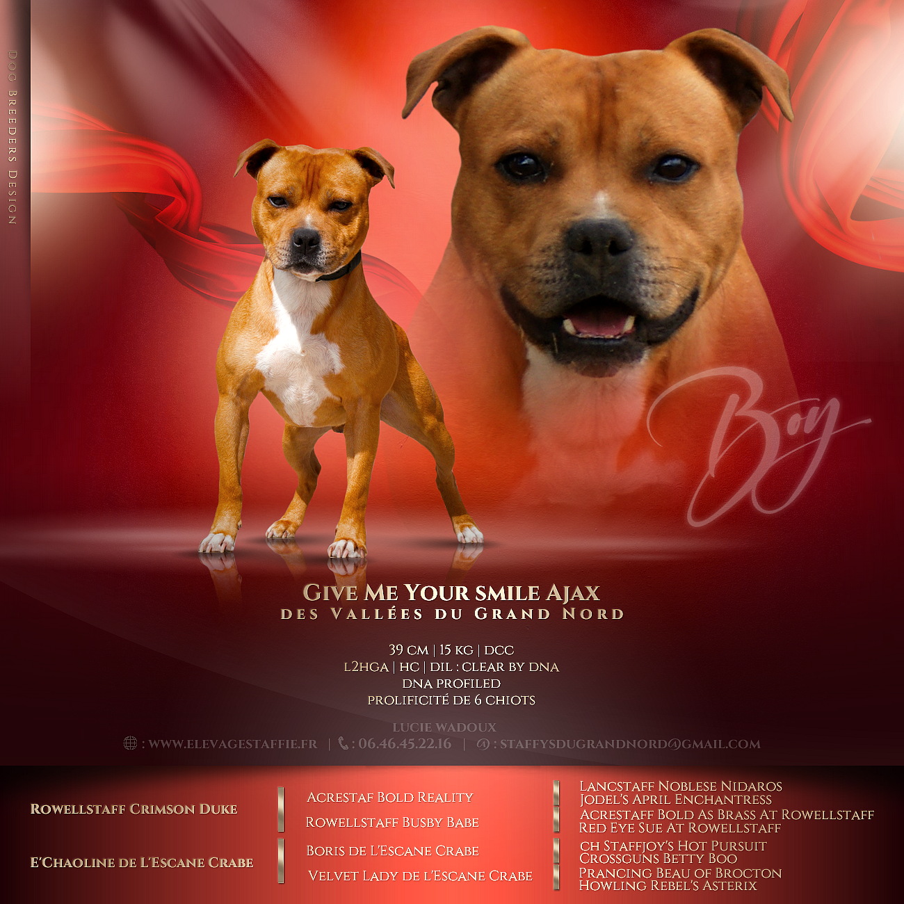 Boy presentation and pedigree
