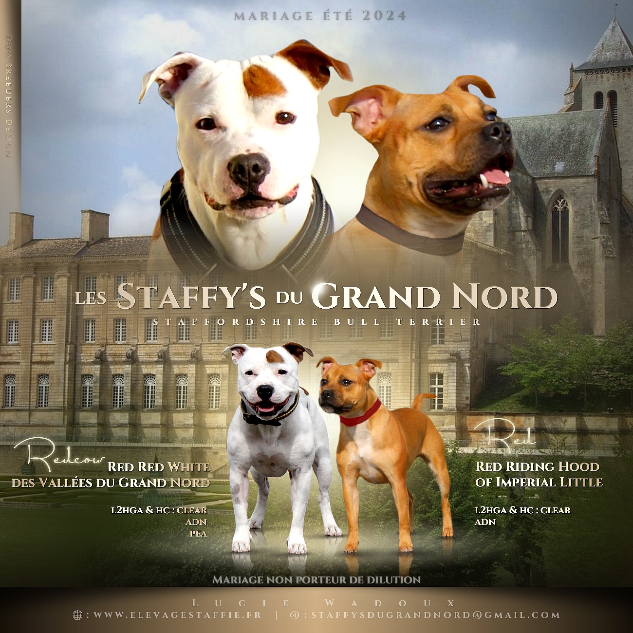 Mariage staffy's 2024