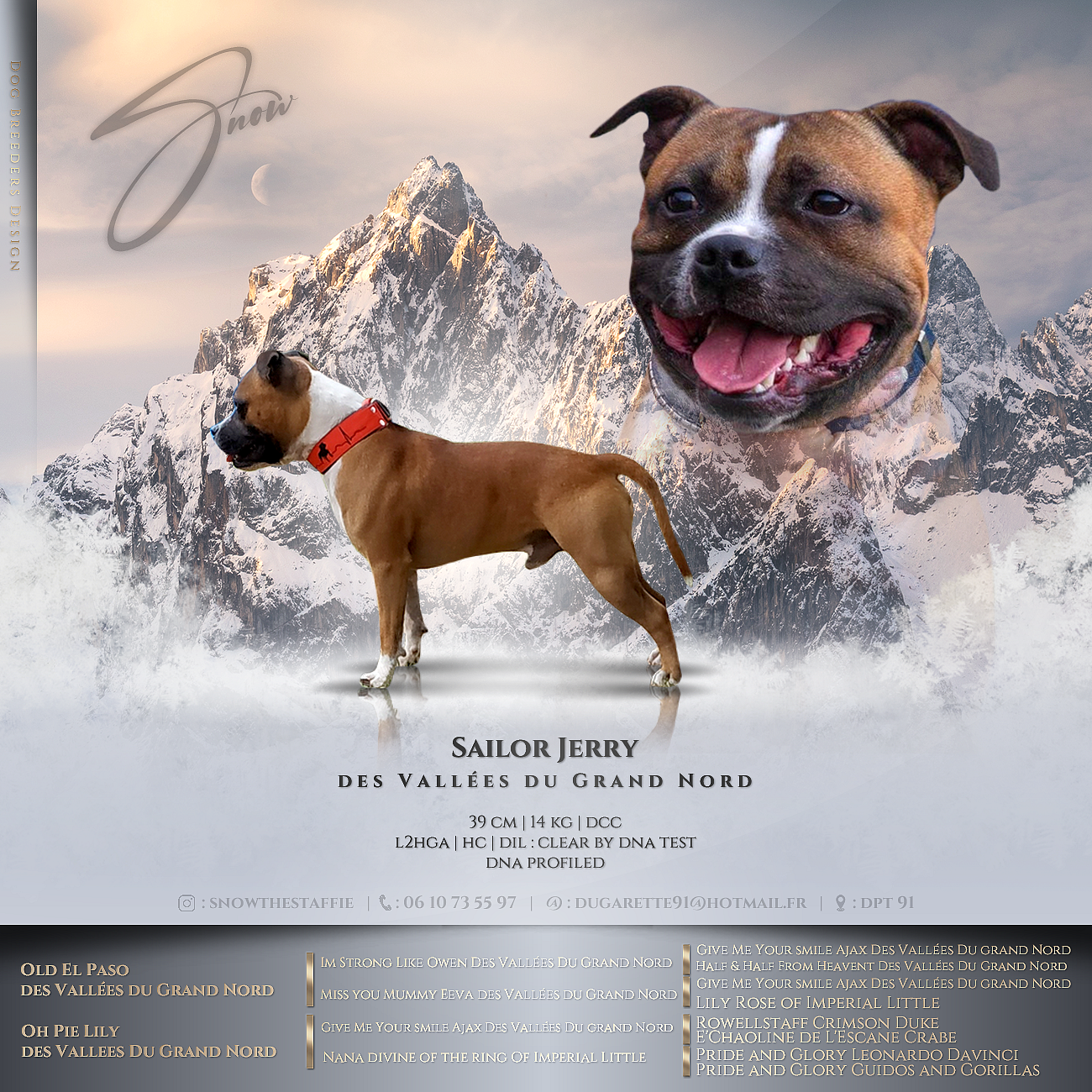 Snow Staffy's du Grand Nord