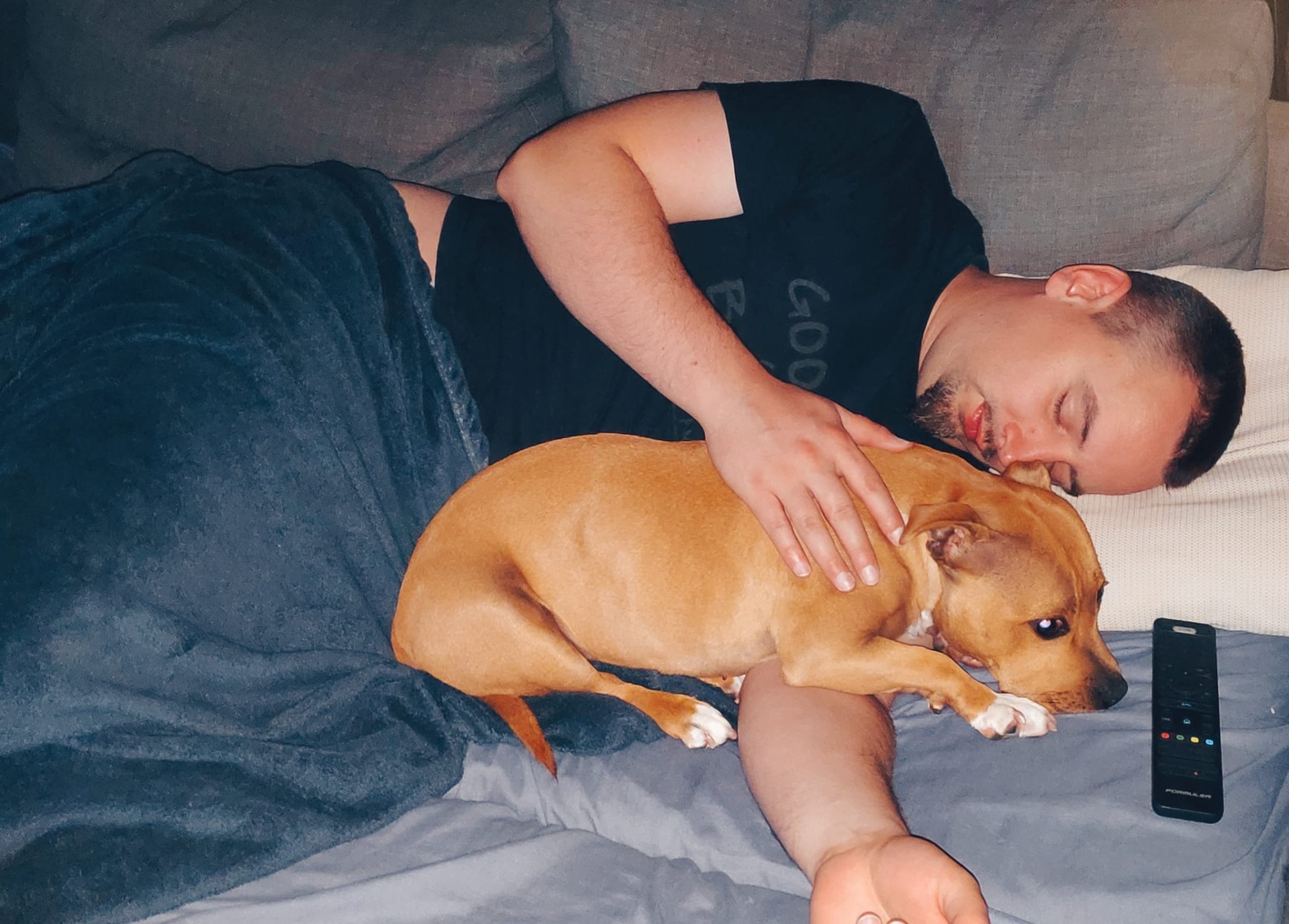 staffy's du grand nord