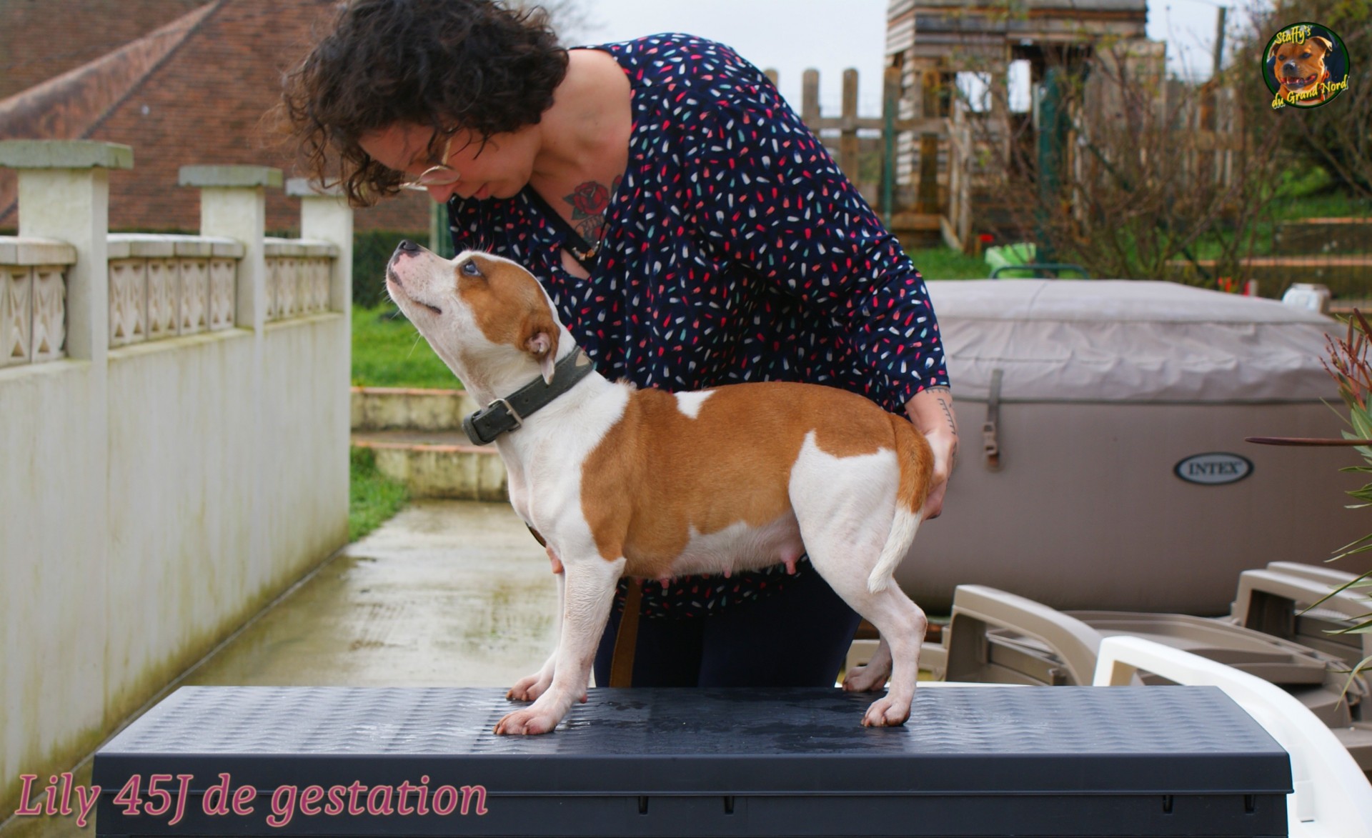 Lily 45j de gestation