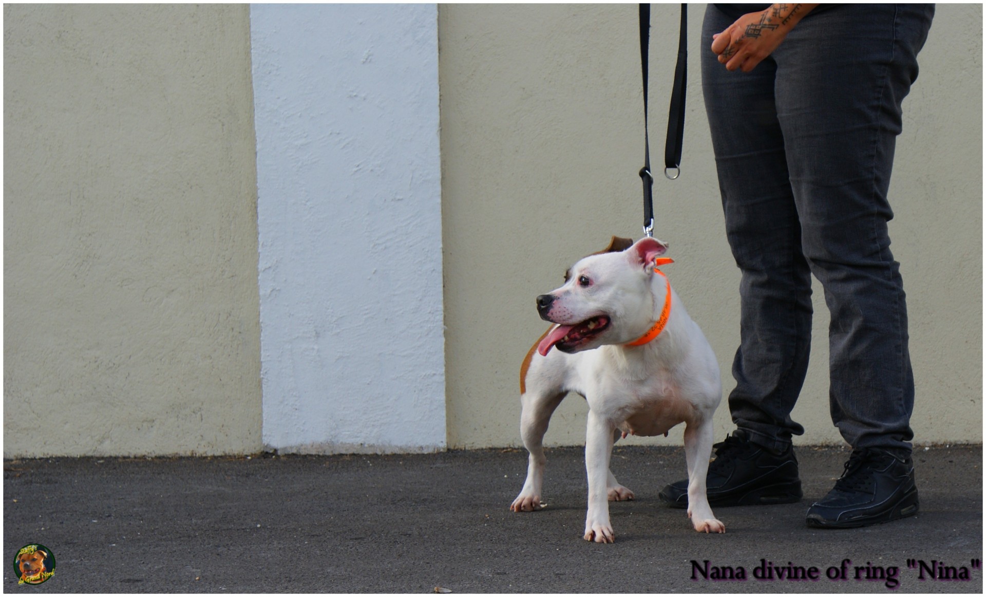 Nina (retraitée)