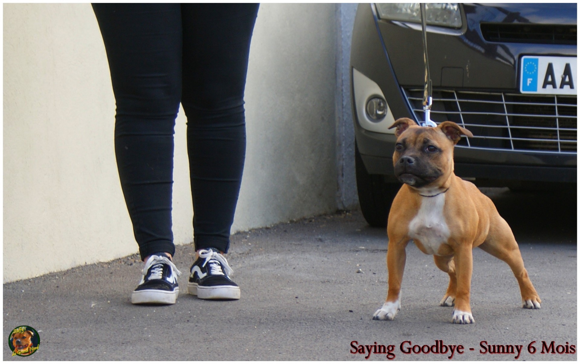 Saying Goddbye (Sunny)