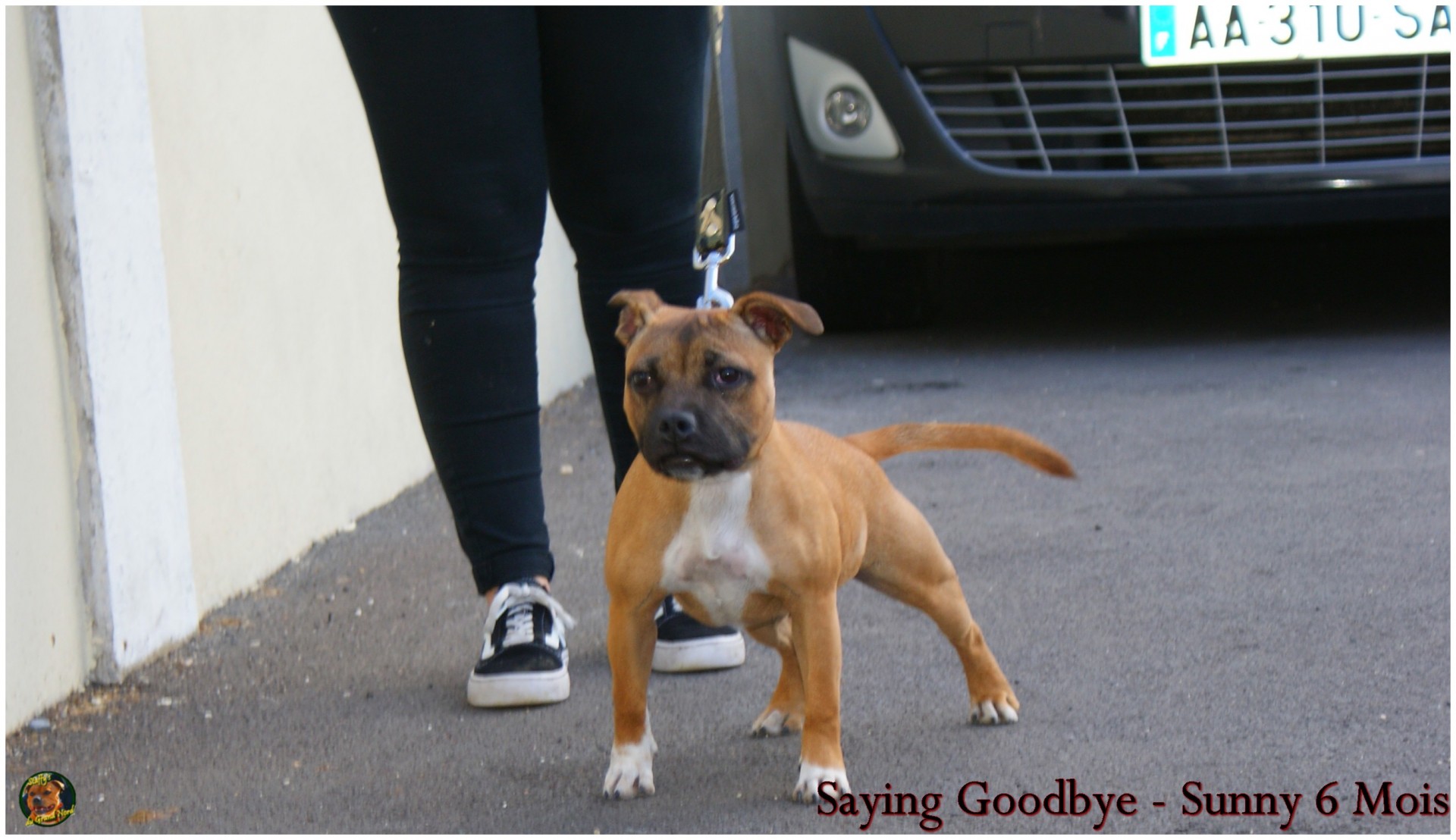 Saying Goddbye (Sunny)