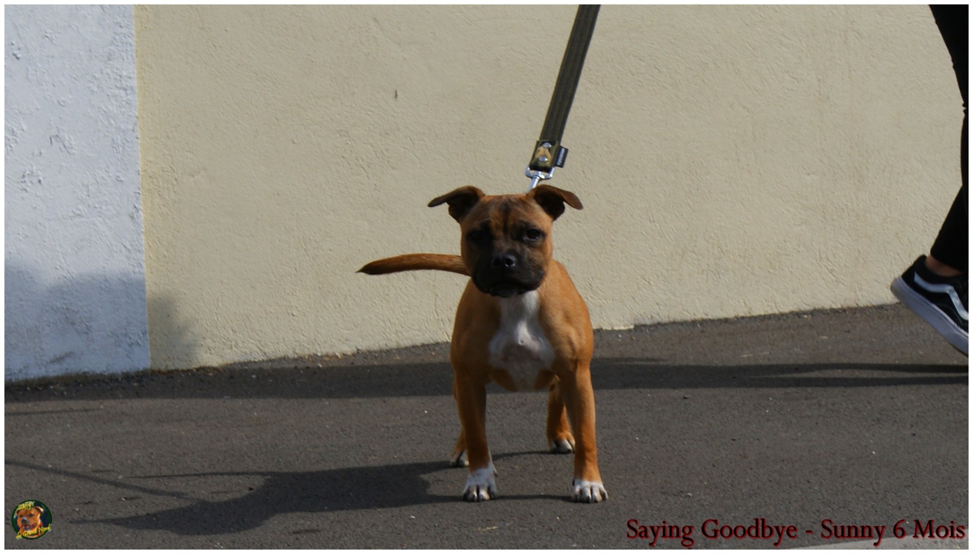 Saying Goddbye (Sunny)