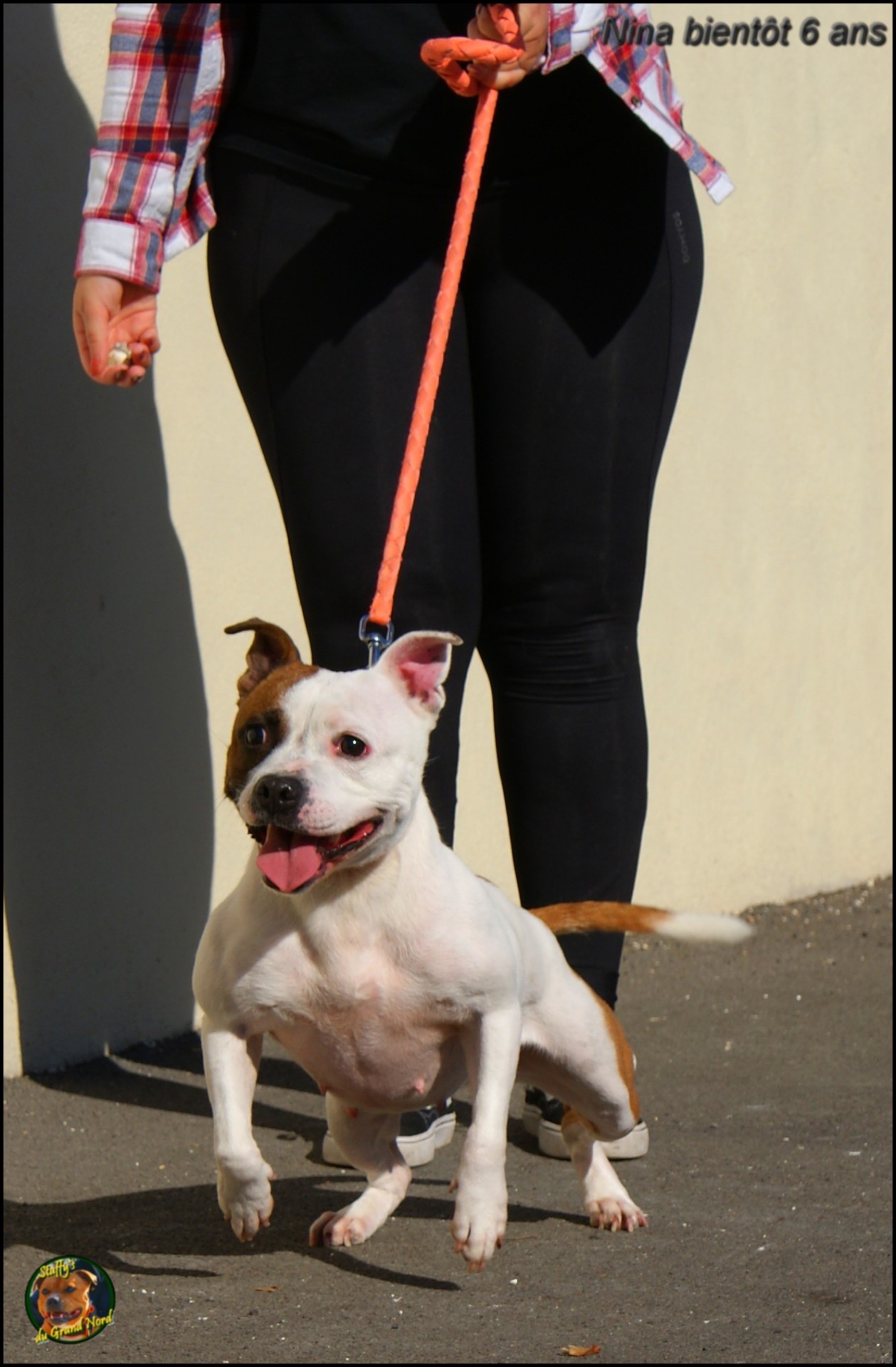 Nina staffy's du grand nord