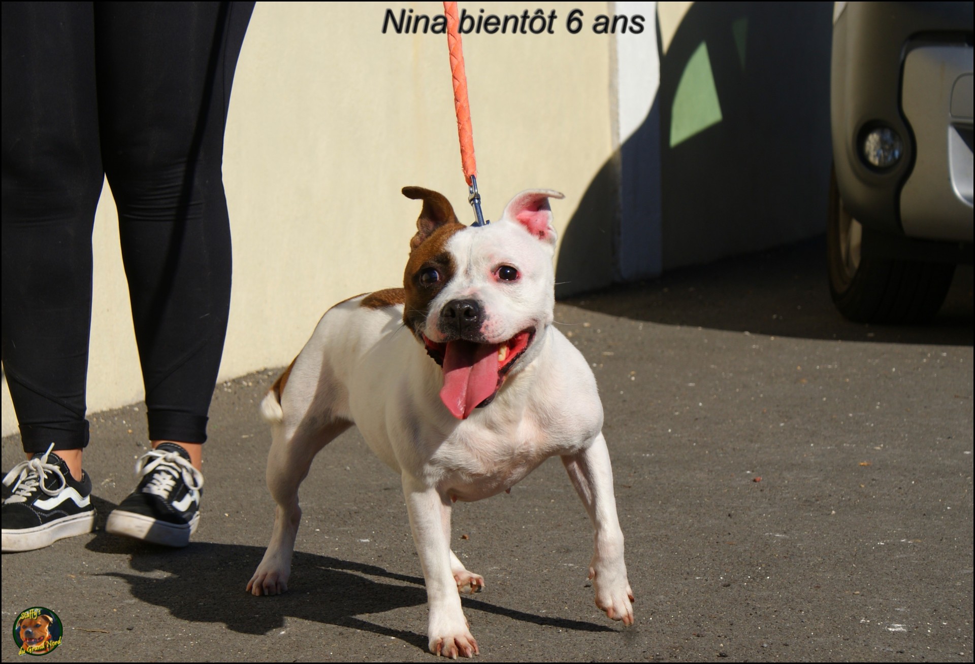 Nina staffy's du grand nord