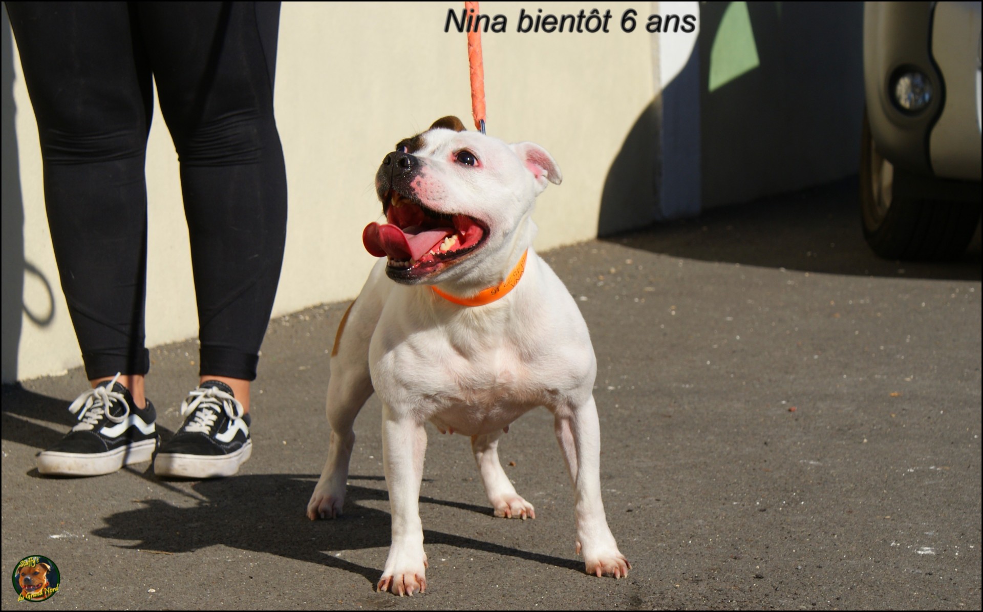 Nina staffy's du grand nord
