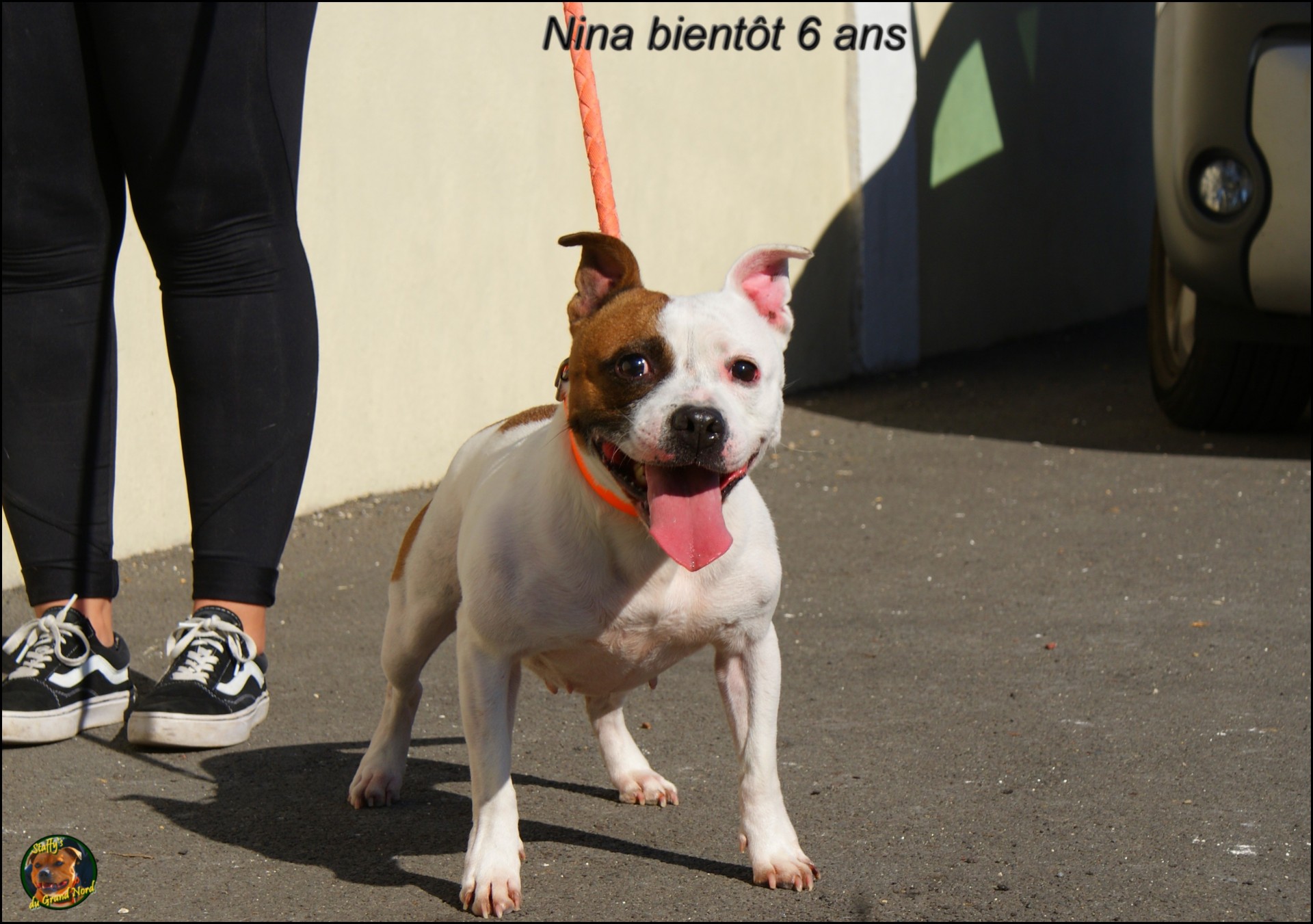 Nina staffy's du grand nord