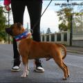 Sailor Jerry 2 ans 