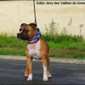 Sailor Jerry 2 ans 