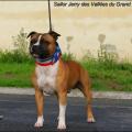 Sailor Jerry 2 ans 