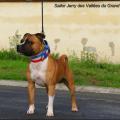 Sailor Jerry 2 ans 
