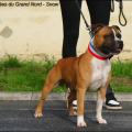 Sailor Jerry 2 ans 