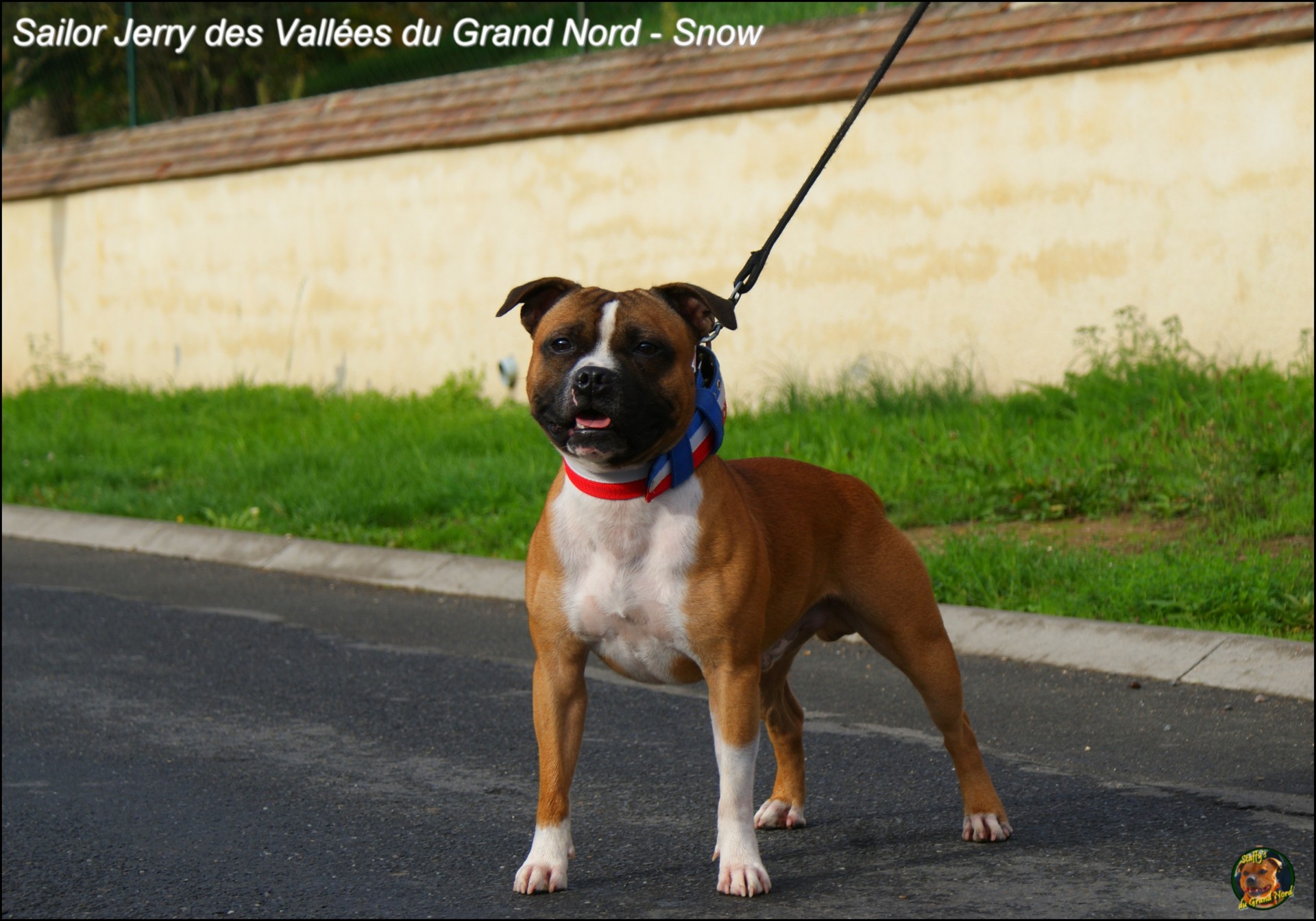 Sailor Jerry 2 ans 