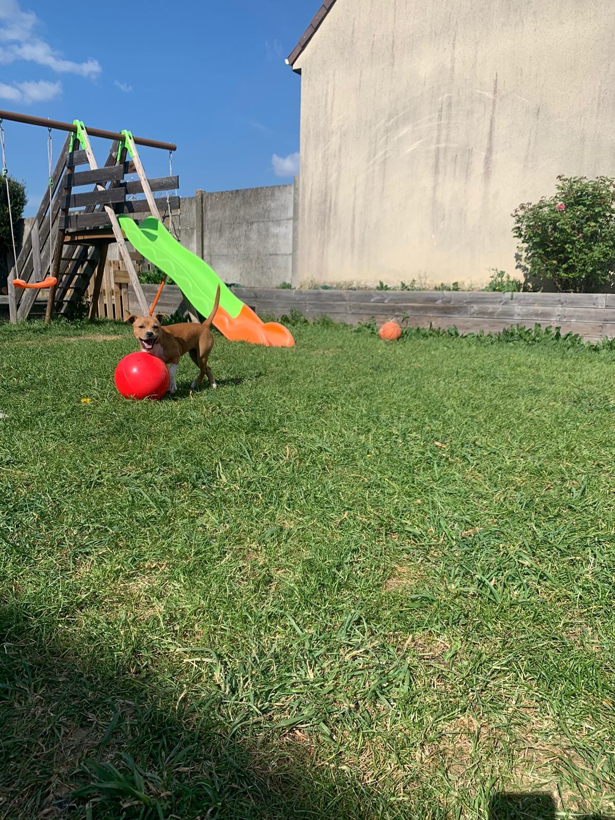 Pitsy