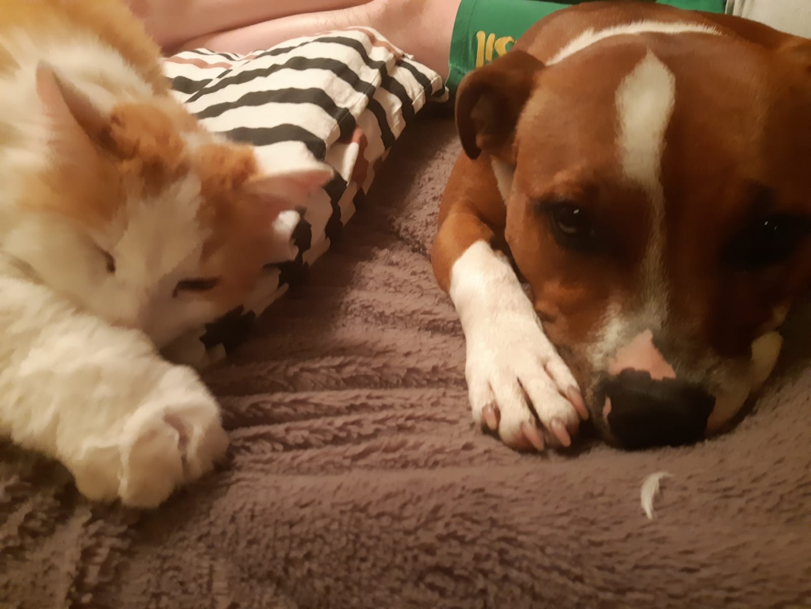 Oxbow & Bruce