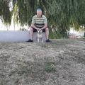 staffy's du grand nord