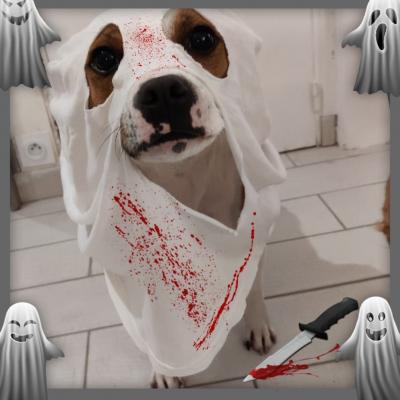 Halloween 2022
