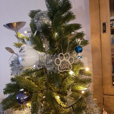 Noël 2022 des familles