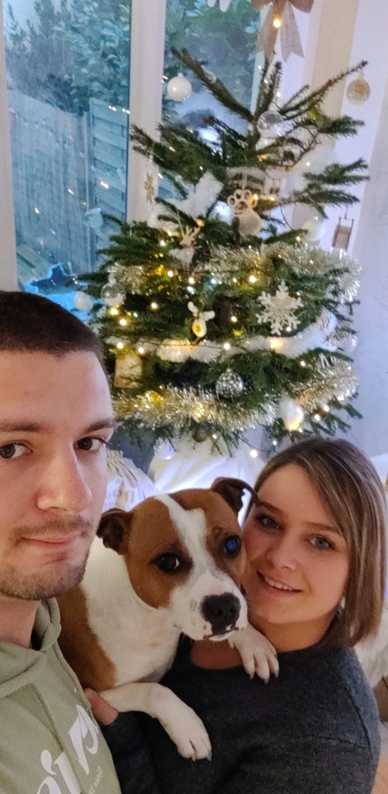 Les staffy's du Grand Nord 