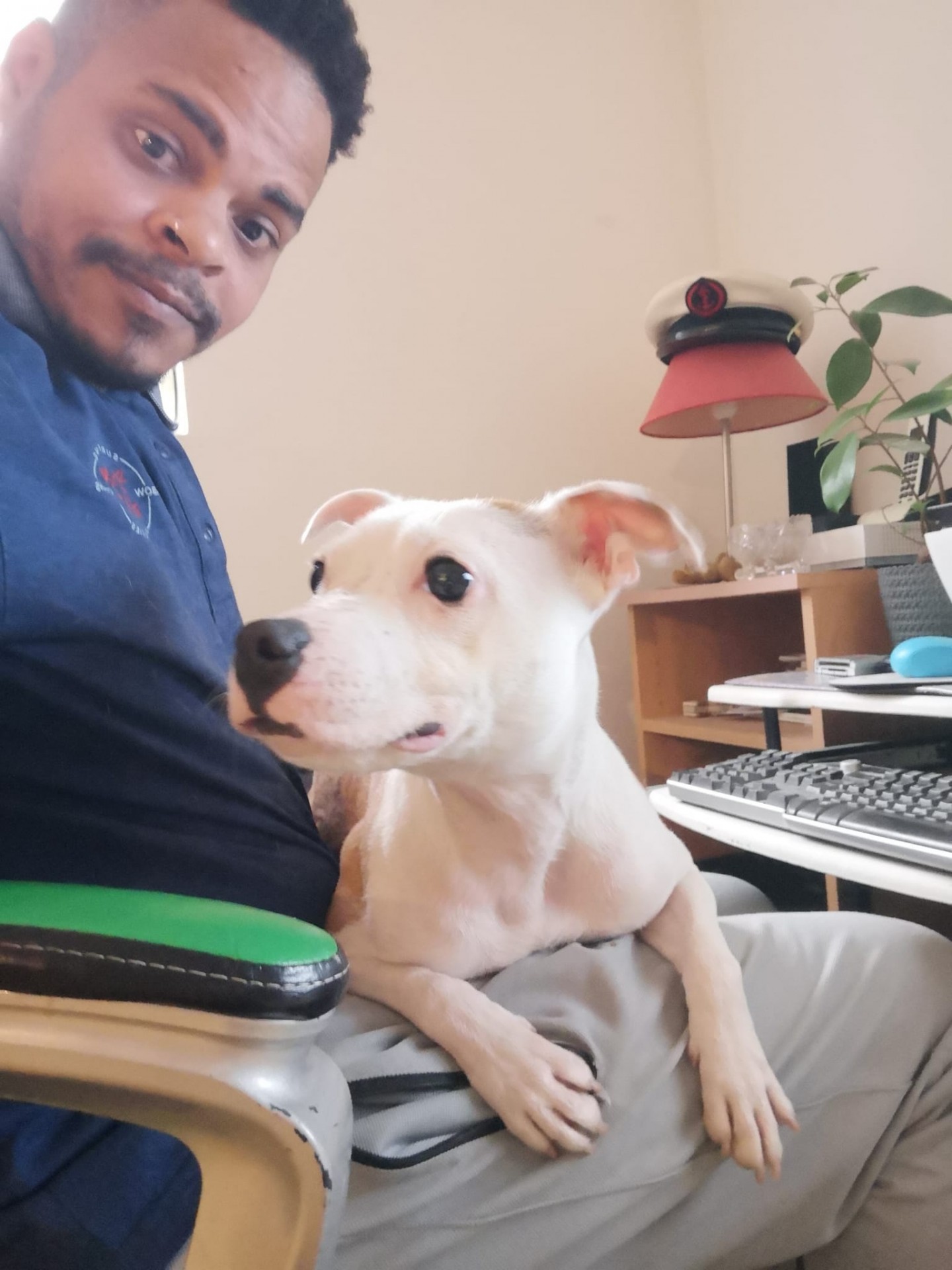 Staffy's du Grand Nord 