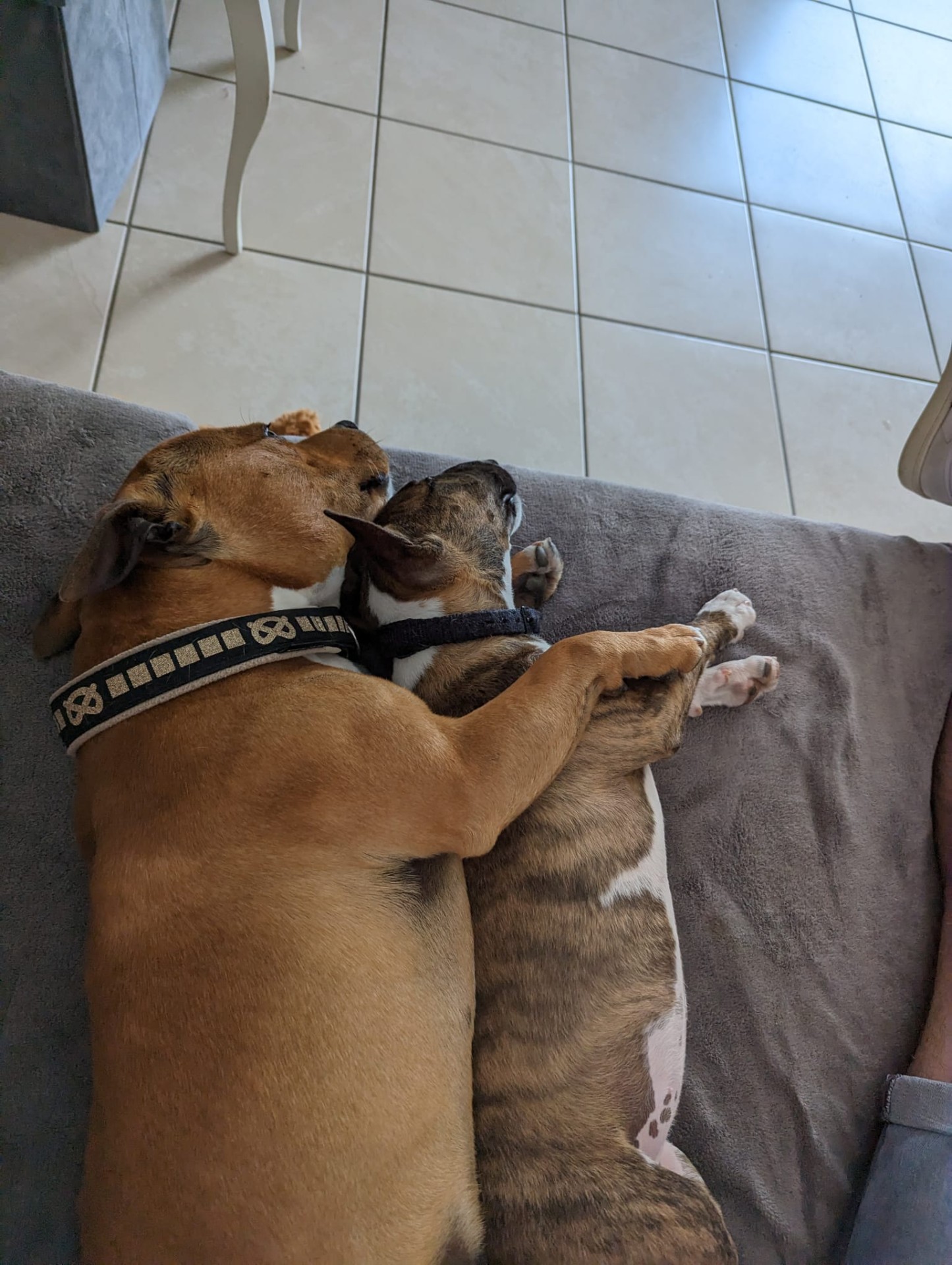 Skae et Uzi 