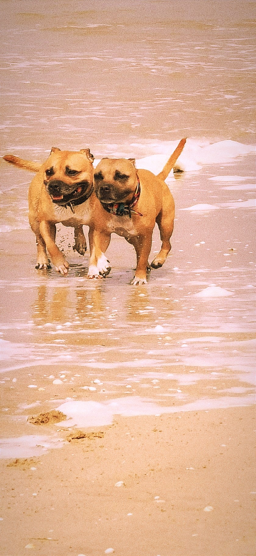 Sunny et Obi-Wan 