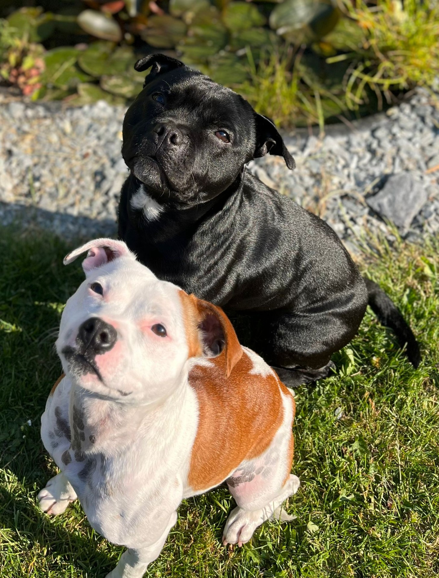 Tessy et Paco
