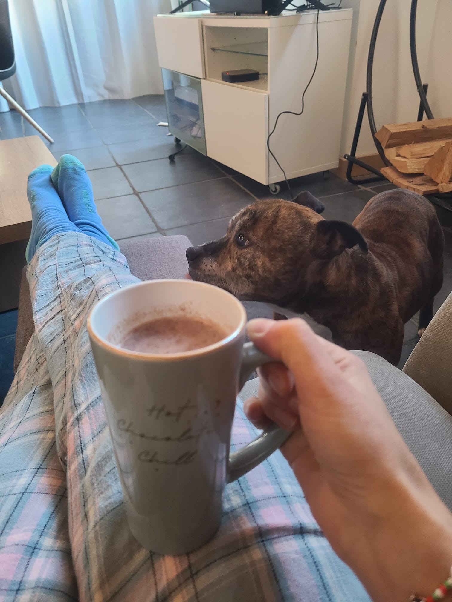 staffy's du grand nord