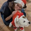 staffy's du grand nord