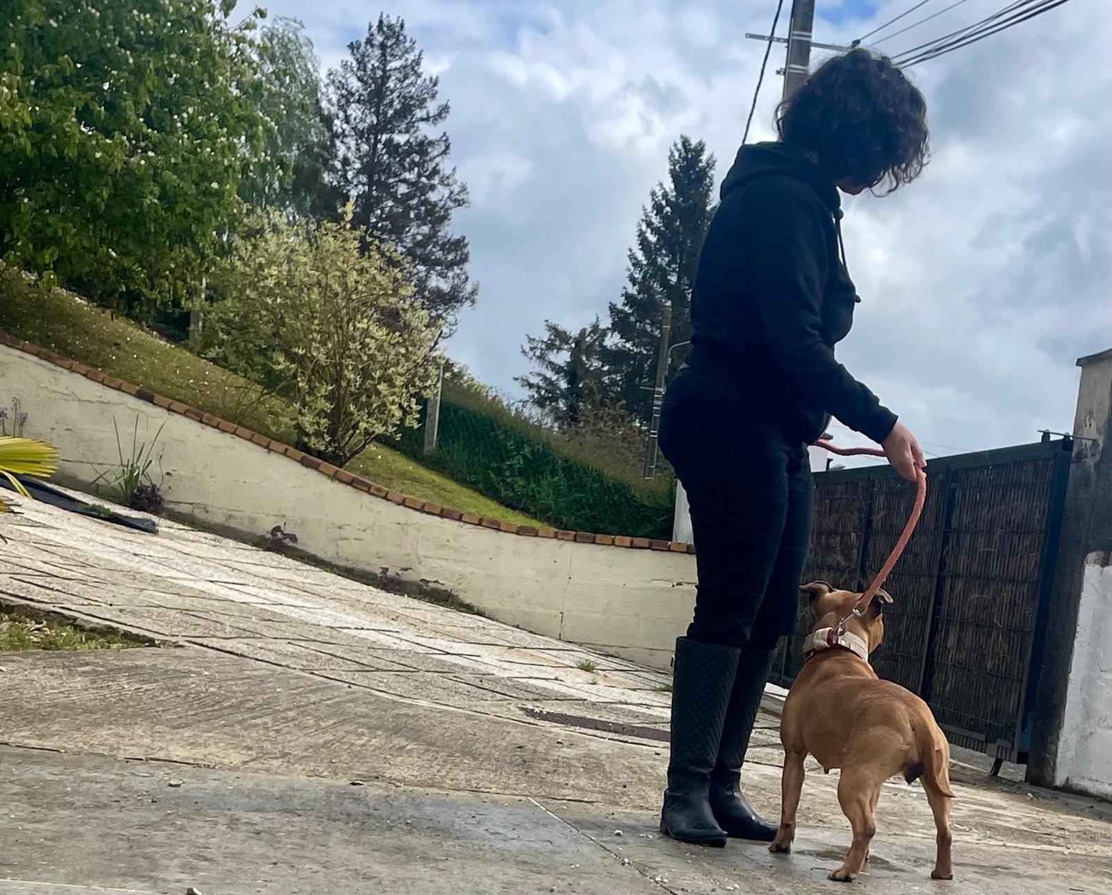 staffy's du grand nord