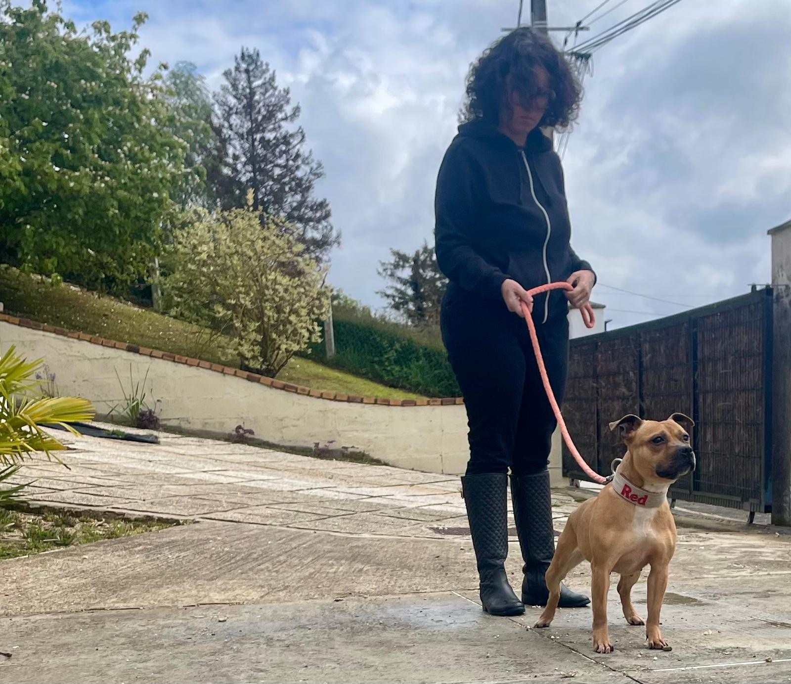 staffy's du grand nord