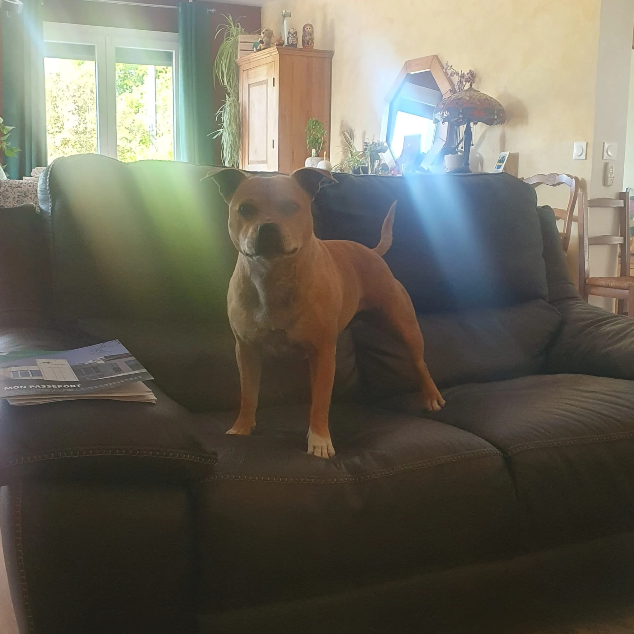 Pucinette 7 ans