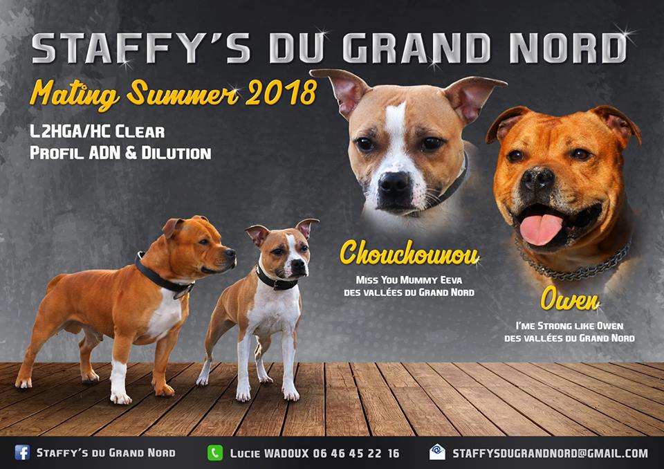 Chou et Owen