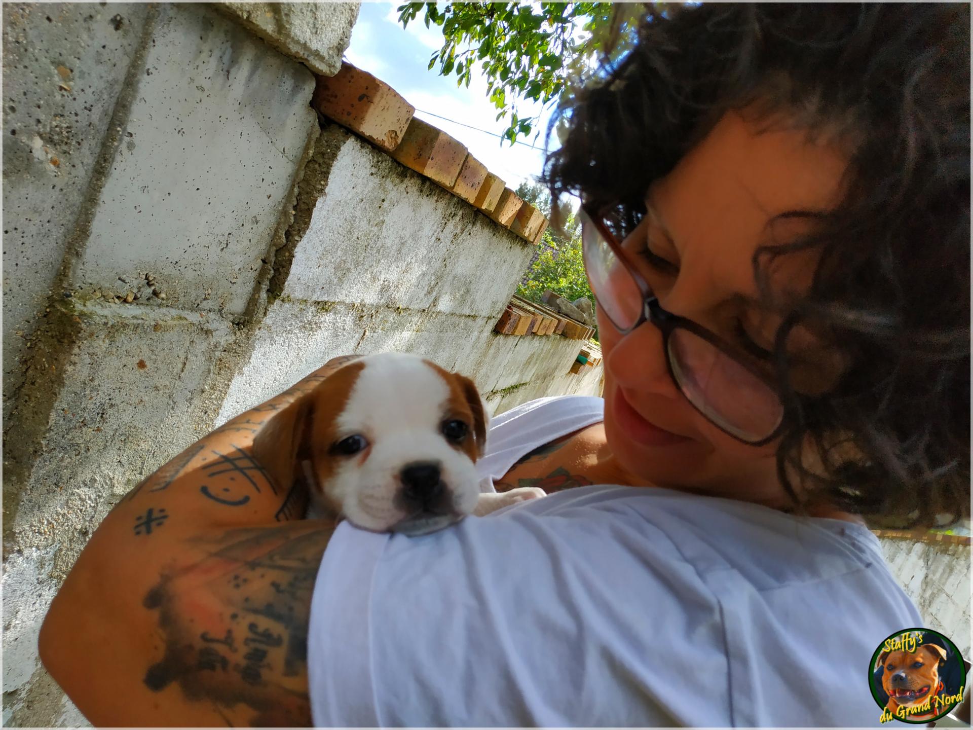 staffy's du grand nord Lucie